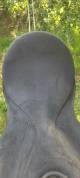 Selle de dressage