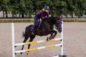 Tapis de selle Purple Gold - Equestrian Stockholm