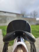 Selle dressage Antares tempo 