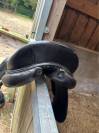 Selle de dressage Devoucoux makila 