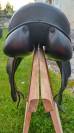 Selle dressage Prestige