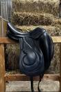 Selle Antares modèle Cadence dressage17,5 pouces 