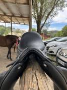 Selle dressage 