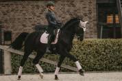 Tapis Velvet Pearl Rose Pâle DRESSAGE - KENTUCKY