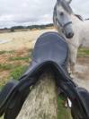 Selle de dressage Zaldi San Jorge 17'5 tte options