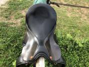 Selle de dressage Eurorising 17"