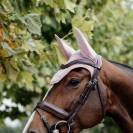 Bonnet Wellington Velvet Vieux Rose - Kentucky