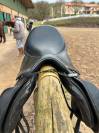 SELLE CAVALETTI COLLECTION JUMP