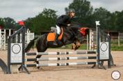 Tapis paddock orange 