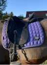 selle dressage 17'5 arcade interchangeable