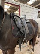 Selle de dressage 