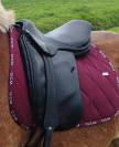 Selle Dressage Belloir Saumur 