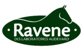 Ravene